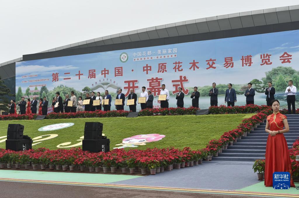 金沙游戏网站有哪些